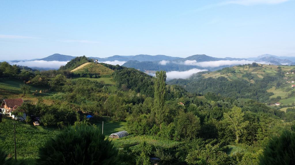 Lux Smestaj Ivanjicki Konaci Ivanjica Szoba fotó